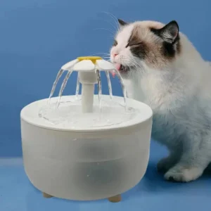 Pet Water Dispenser: Must-Have for Happy, Healthy Pets