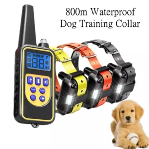 Dog Training Collar: Exclusive Waterproof & Affordable Solution