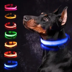 LED Dog Collar: Must-Have Night Safety for Your Pet