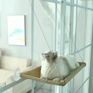 Cat Hammock Bed: Stunning & Affordable Window Seat