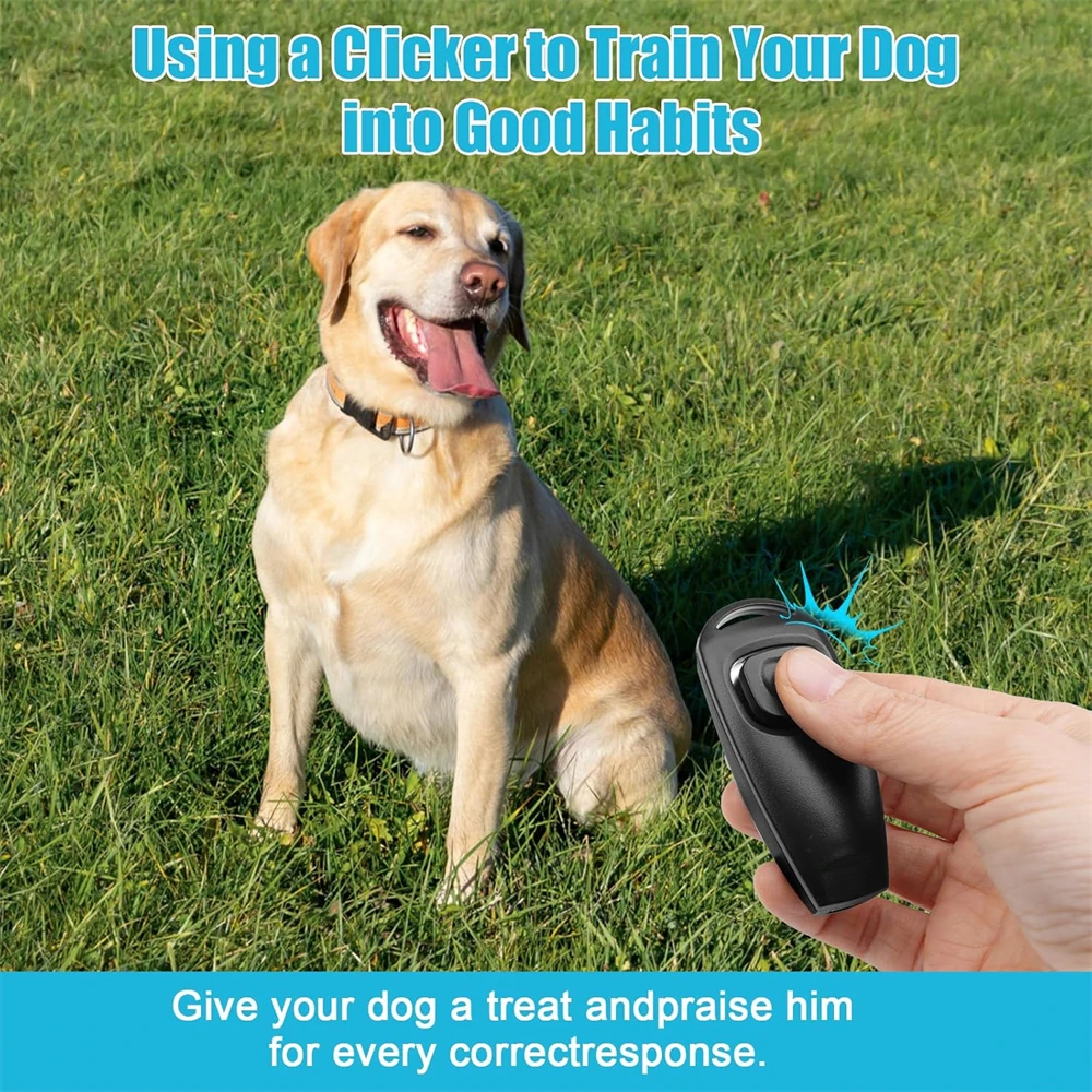 Dog Training Clicker: Must-Have Tool for Effortless Training - Image 3
