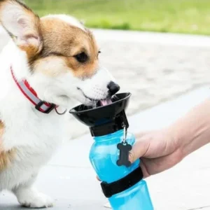 Outdoor Portable Dog Water Bottle: Must-Have for Travel