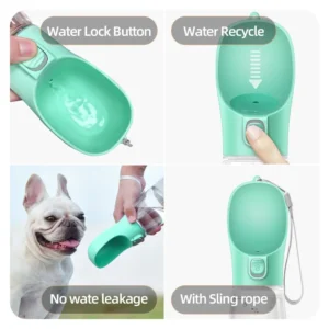 Portable Dog Water Bottle: The Best Leakproof Solution
