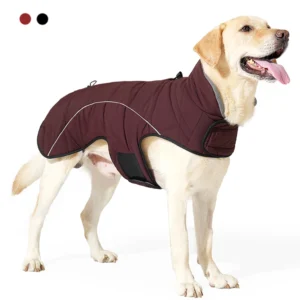 Pet Dog Coat: Must-Have Waterproof Jacket For Winter