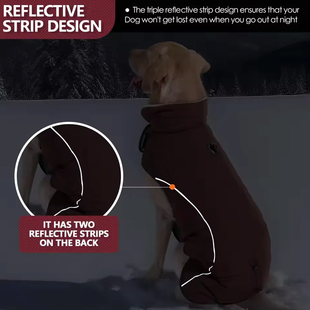 Pet Dog Coat: Must-Have Waterproof Jacket For Winter - Image 5